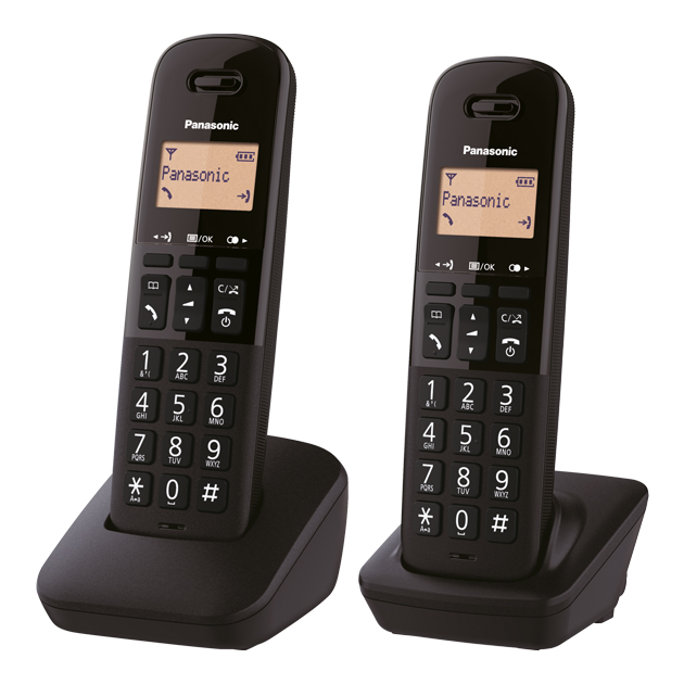 Cordless Telephone