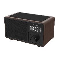 Speaker (dno) Fusion B/t Speaker Clock Radio & W/less Ch.