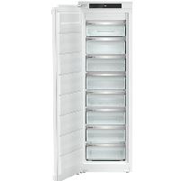 In Column Built-In Freezer