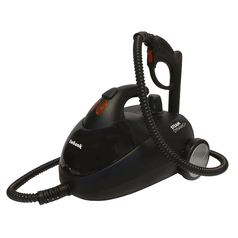 Compact Steam Cleaner